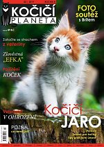 časopis Kočičí planeta č. 2/2019