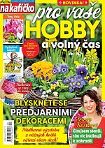 časopis Můj čas na kafíčko Hobby č. 2/2024
