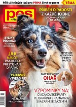 časopis Pes přítel člověka č. 11/2021