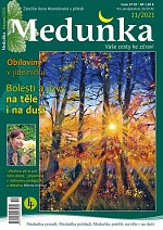 časopis Meduňka č. 11/2021