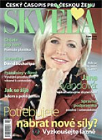 časopis Skvělá č. 10/2008
