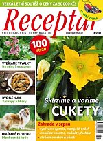 časopis Receptář + Speciál Receptář č. 8/2022