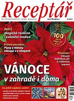 časopis Receptář + Speciál Receptář č. 12/2023