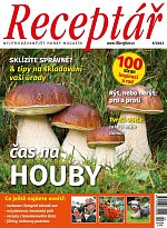 časopis Receptář + Speciál Receptář č. 9/2023