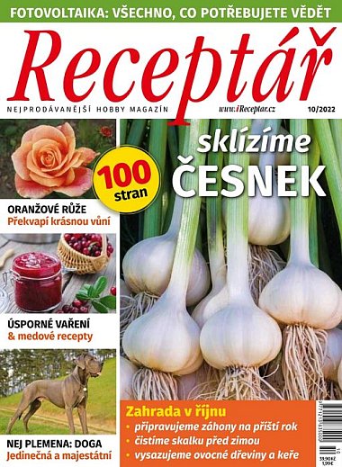 časopis Receptář + Speciál Receptář č. 10/2022