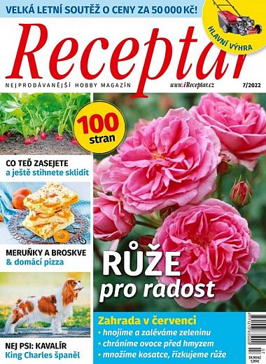 časopis Receptář + Speciál Receptář č. 7/2022